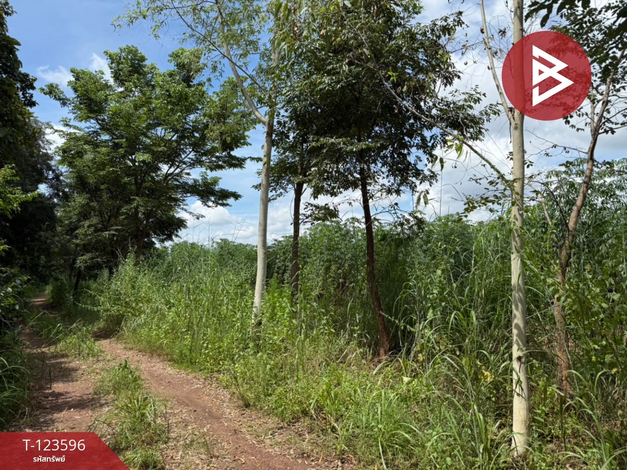 ขายที่ดิน เนื้อที่ 30 ไร่ 3 งาน 36 ตารางวา น้ำพี้ อุตรดิตถ์ 11