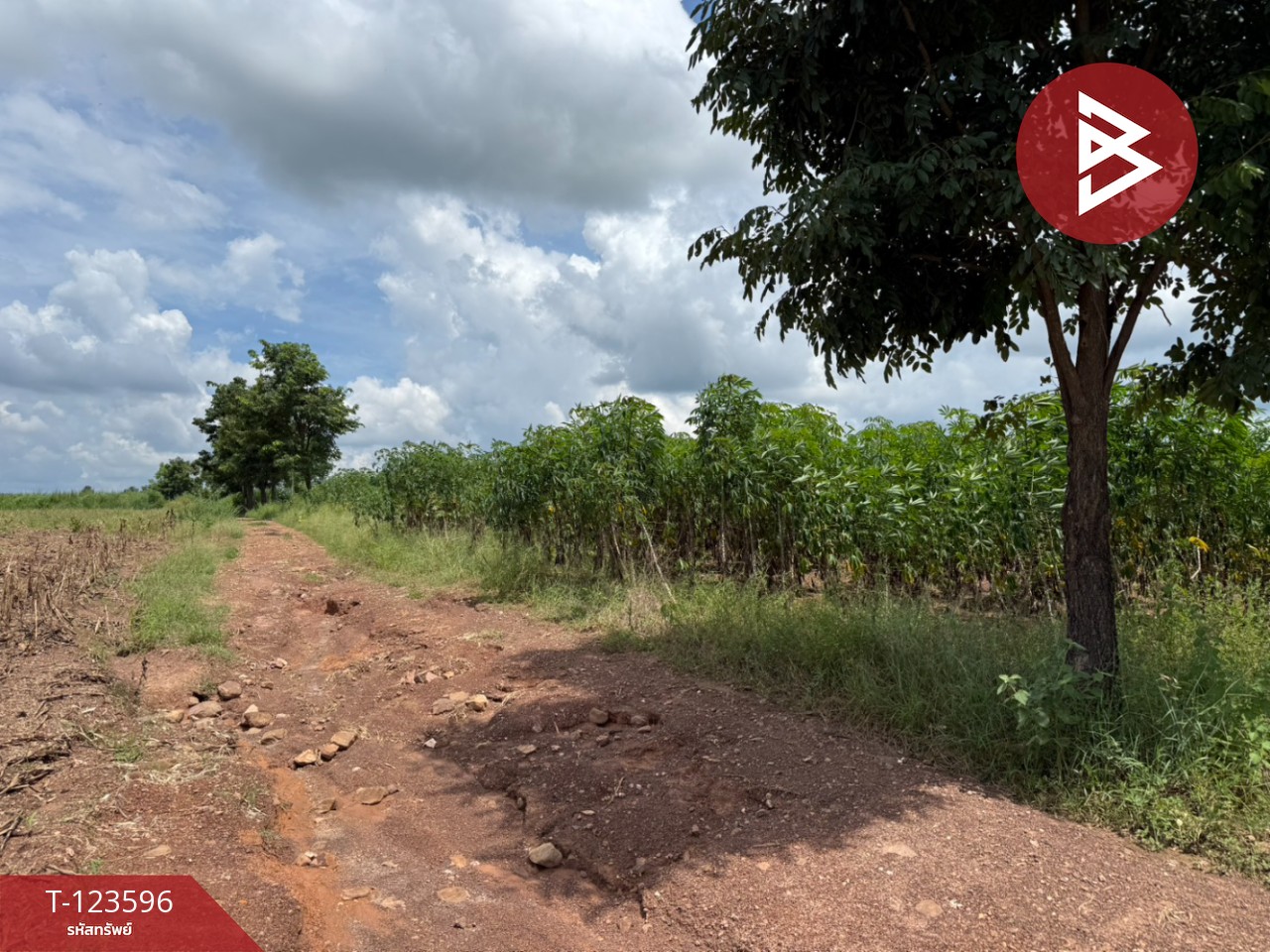 ขายที่ดิน เนื้อที่ 30 ไร่ 3 งาน 36 ตารางวา น้ำพี้ อุตรดิตถ์ 7