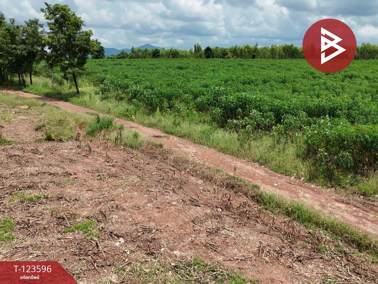 ขายที่ดิน เนื้อที่ 30 ไร่ 3 งาน 36 ตารางวา น้ำพี้ อุตรดิตถ์ 12