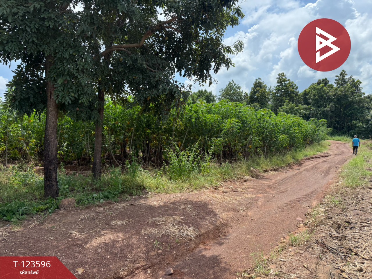 ขายที่ดิน เนื้อที่ 30 ไร่ 3 งาน 36 ตารางวา น้ำพี้ อุตรดิตถ์ 8