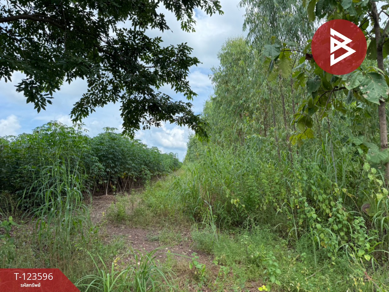 ขายที่ดิน เนื้อที่ 30 ไร่ 3 งาน 36 ตารางวา น้ำพี้ อุตรดิตถ์ 9