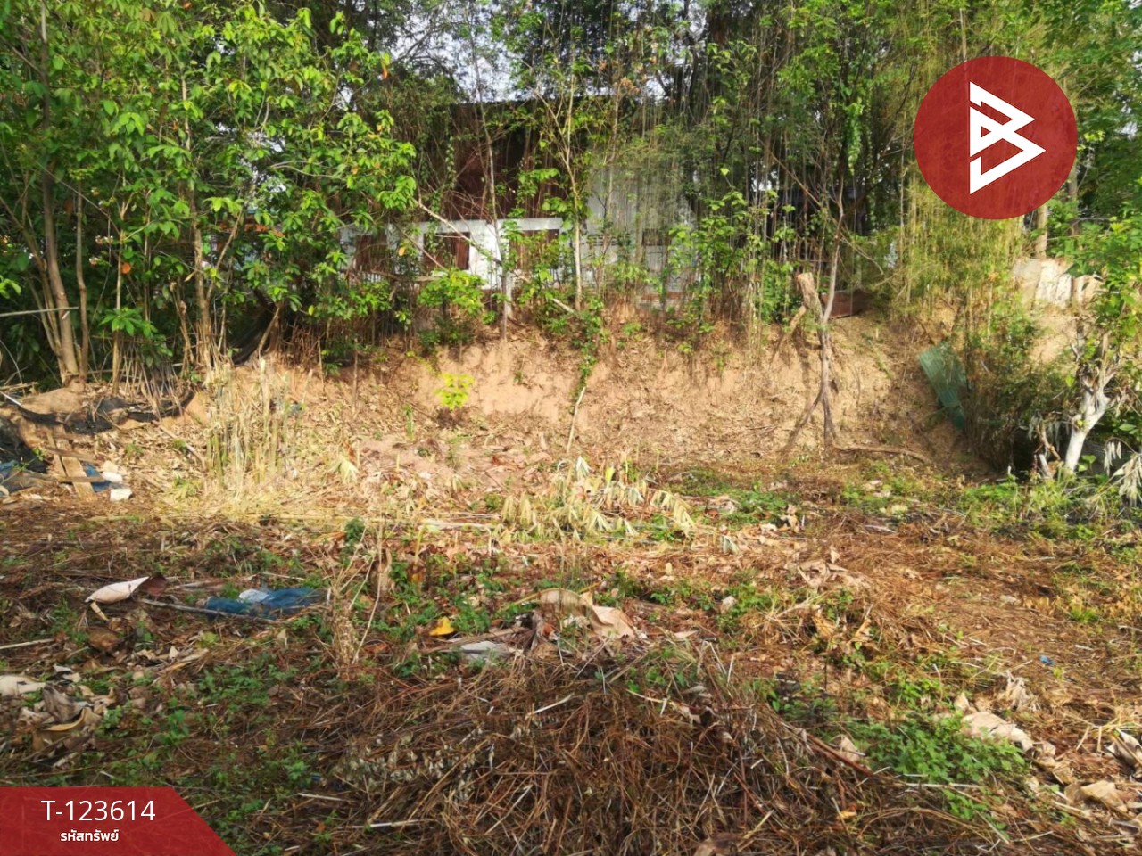 ขายบ้านเดี่ยวพร้อมที่ดิน เนื้อที่ 129 ตารางวา อ.พาน เชียงราย 9