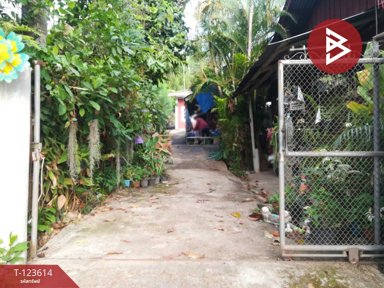 ขายบ้านเดี่ยวพร้อมที่ดิน เนื้อที่ 129 ตารางวา อ.พาน เชียงราย 10