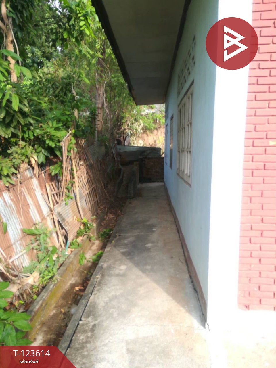 ขายบ้านเดี่ยวพร้อมที่ดิน เนื้อที่ 129 ตารางวา อ.พาน เชียงราย 5