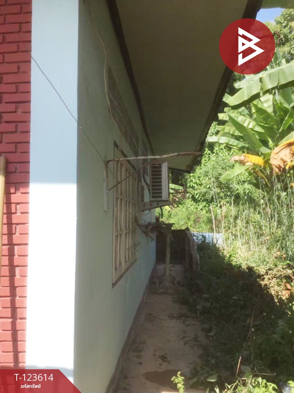 ขายบ้านเดี่ยวพร้อมที่ดิน เนื้อที่ 129 ตารางวา อ.พาน เชียงราย 6