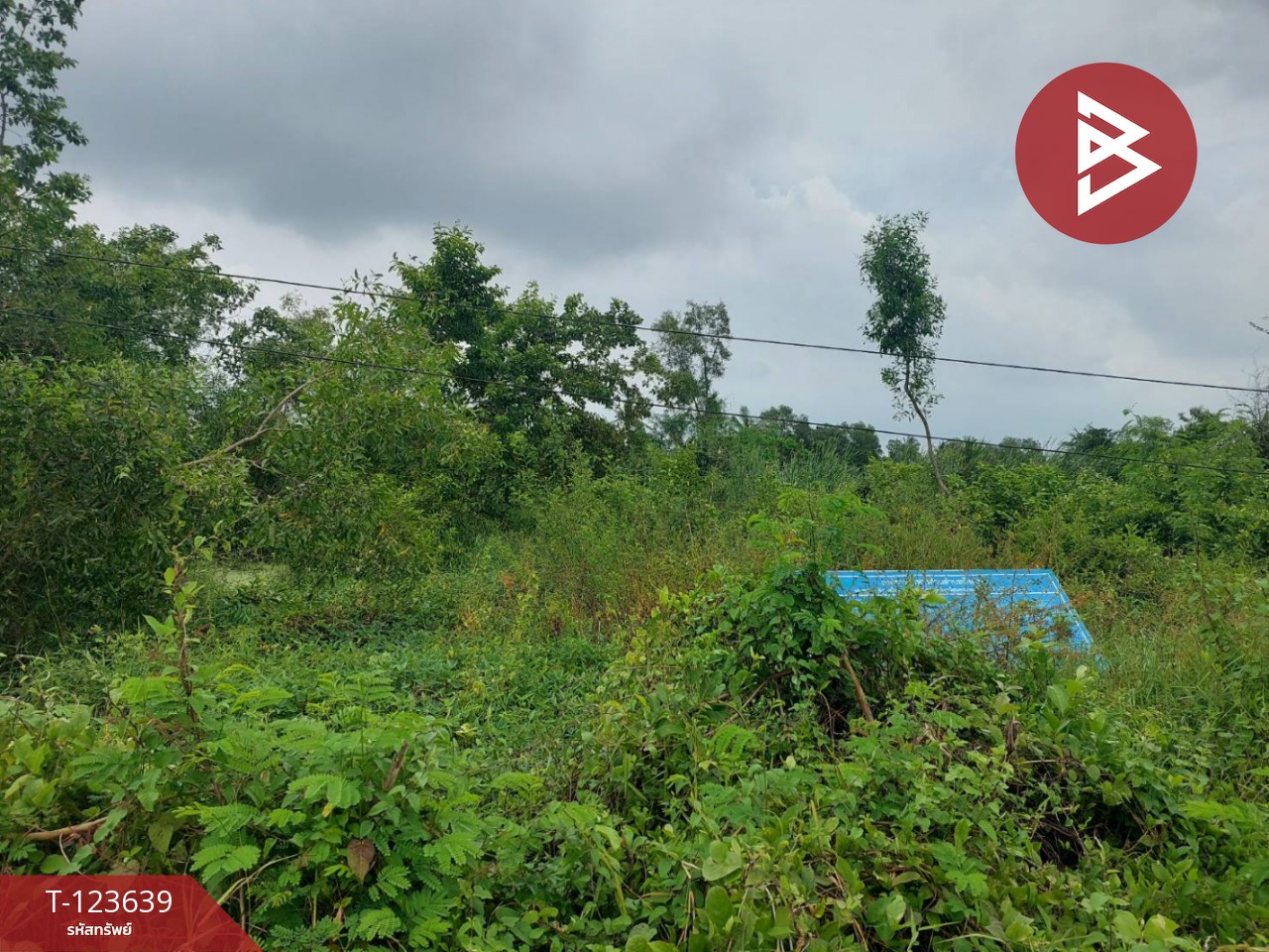 ขายที่ดิน เนื้อที่ 120 ตารางวา องครักษ์ นครนายก 4