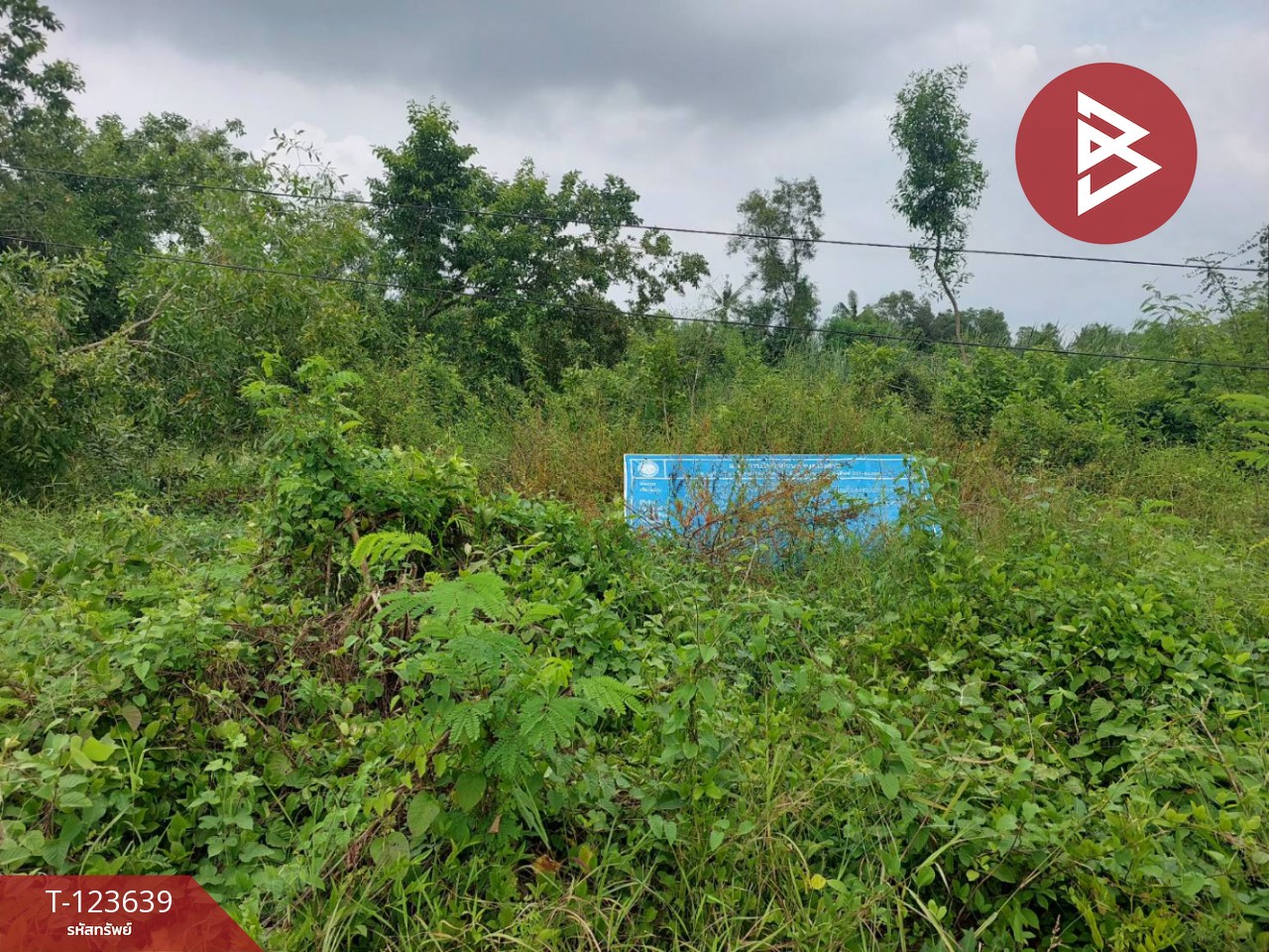 ขายที่ดิน เนื้อที่ 120 ตารางวา องครักษ์ นครนายก 10