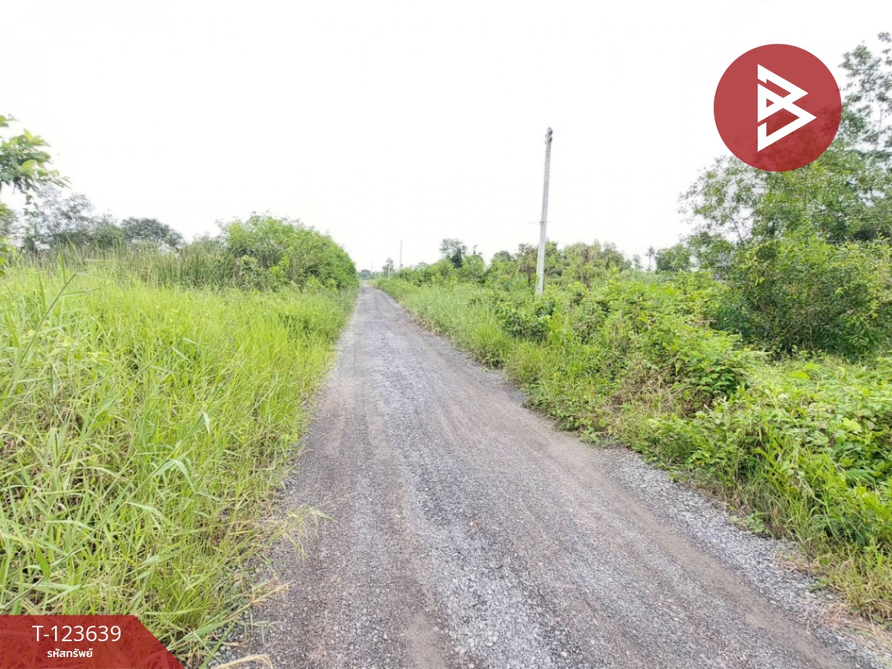 ขายที่ดิน เนื้อที่ 120 ตารางวา องครักษ์ นครนายก 9