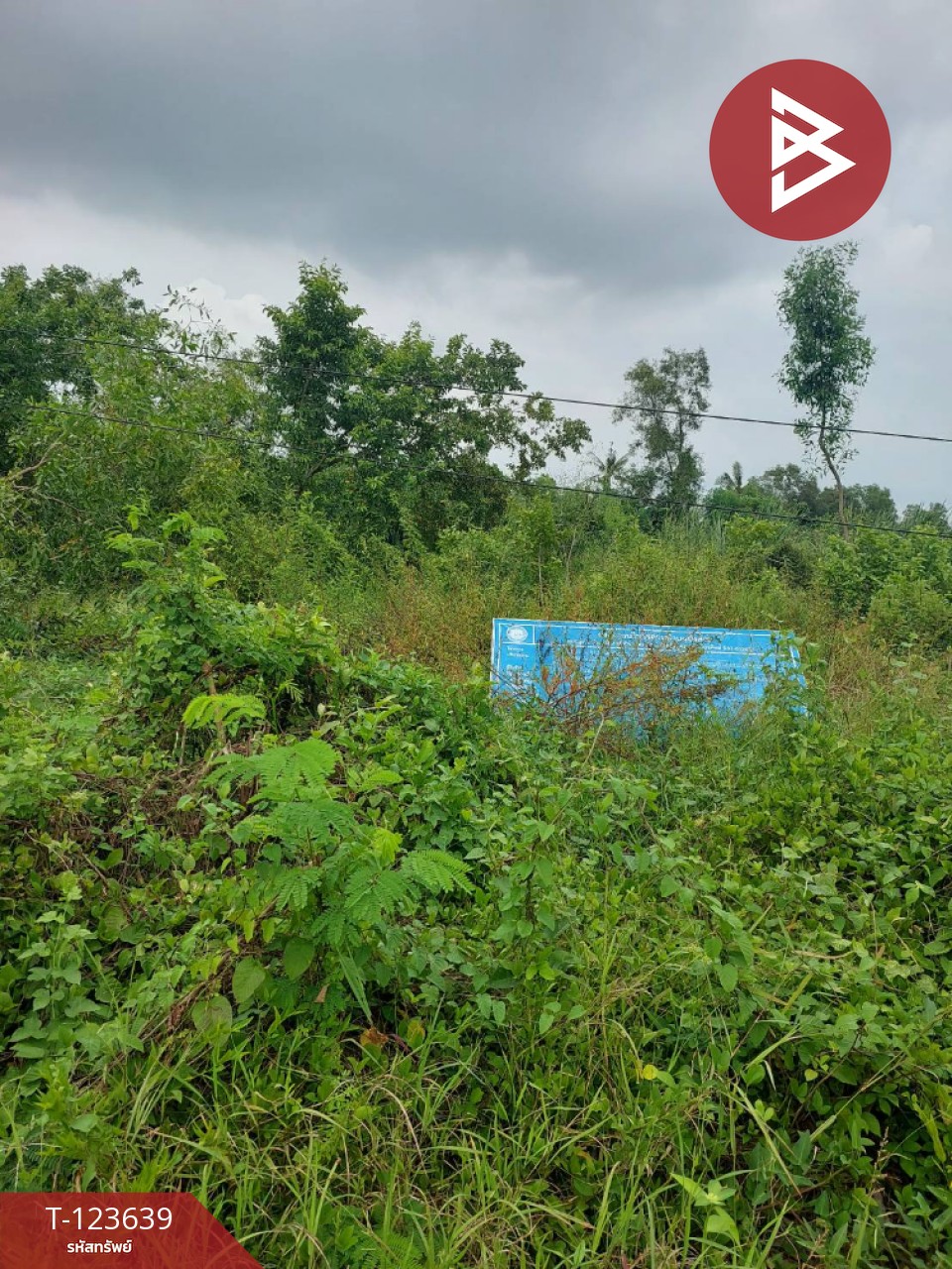 ขายที่ดิน เนื้อที่ 120 ตารางวา องครักษ์ นครนายก 7