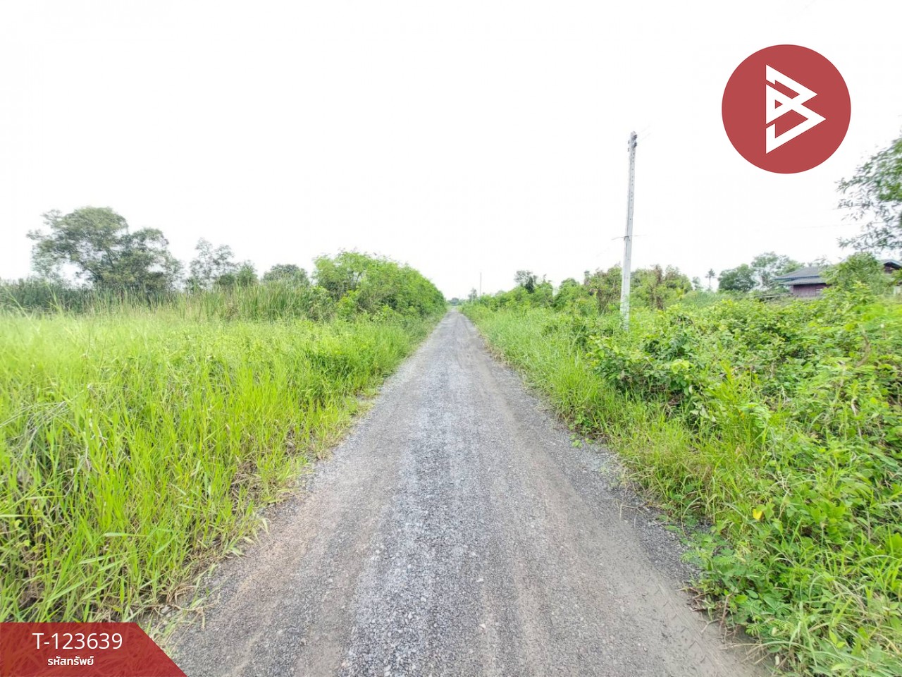 ขายที่ดิน เนื้อที่ 120 ตารางวา องครักษ์ นครนายก 6