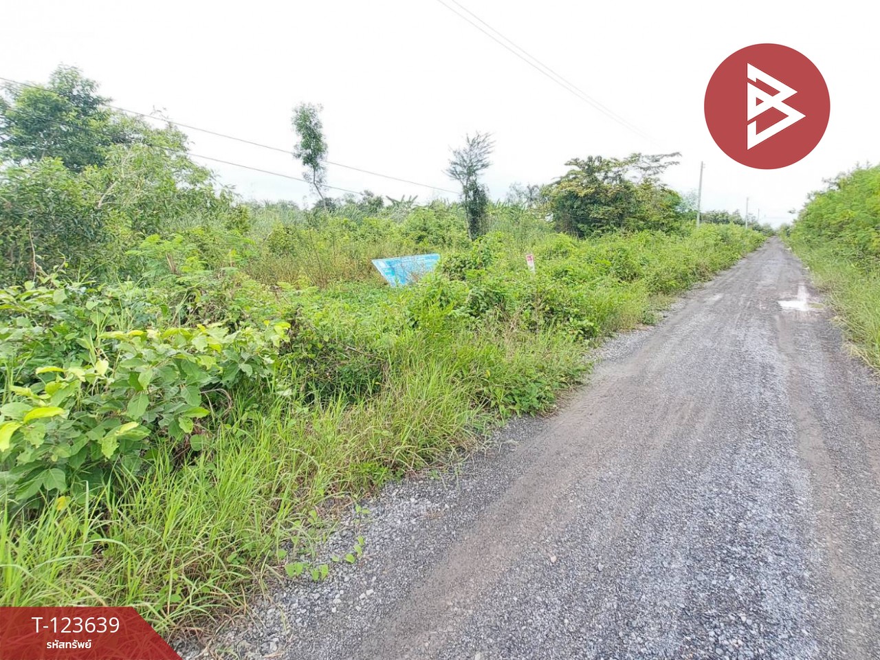 ขายที่ดิน เนื้อที่ 120 ตารางวา องครักษ์ นครนายก 1