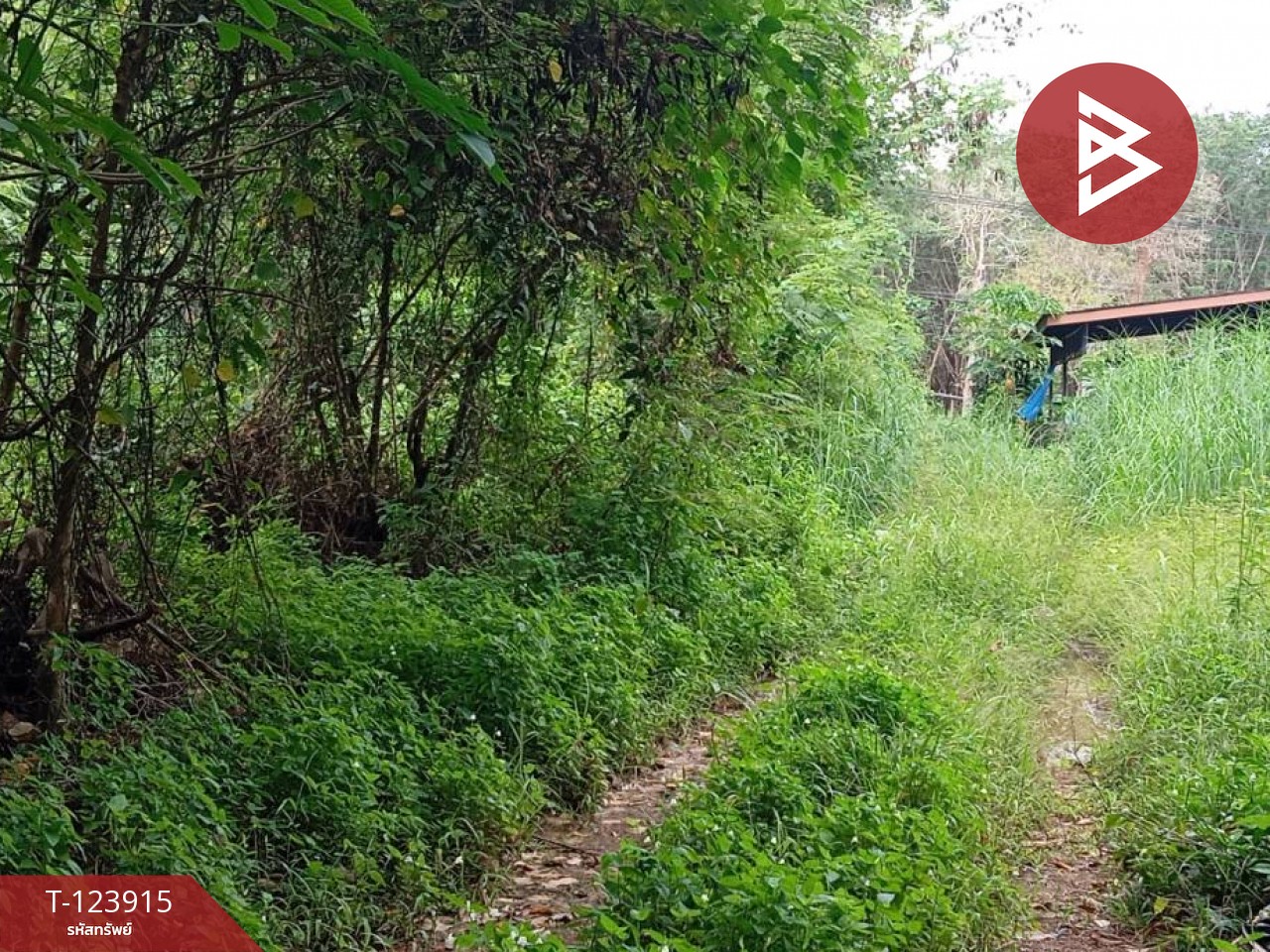 ขายที่ดินสวนยาง พร้อมบ้านพัก เนื้อที่ 20 ไร่ 89.5 ตารางวา เขาสมิง ตราด 8