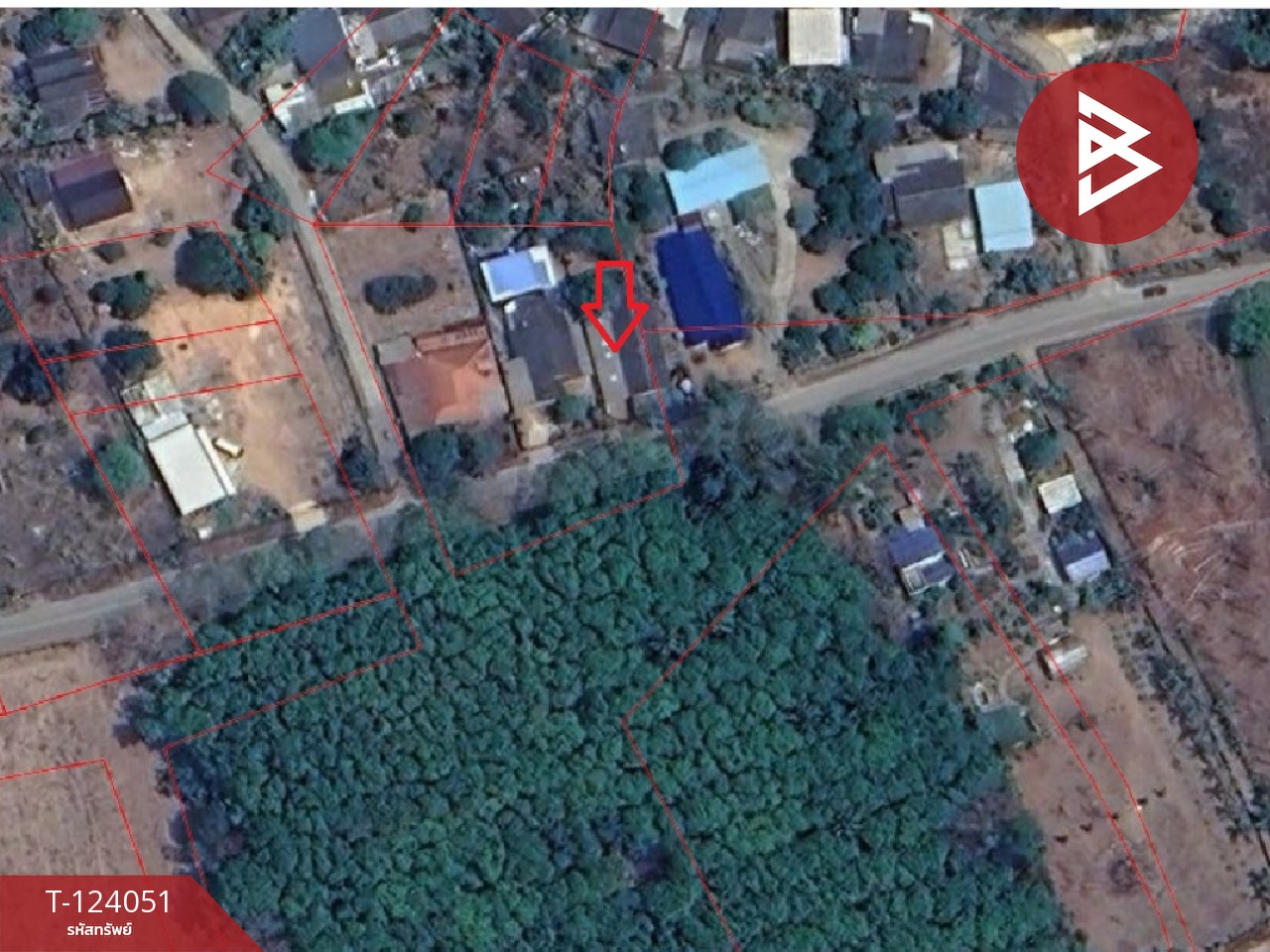 ขายที่ดินพร้อมสิ่งปลูกสร้าง เนื้อที่ 183 ตารางวา ต.แม่เจดีย์ อ.เวียงป่าเป้า จ.เชียงราย 3