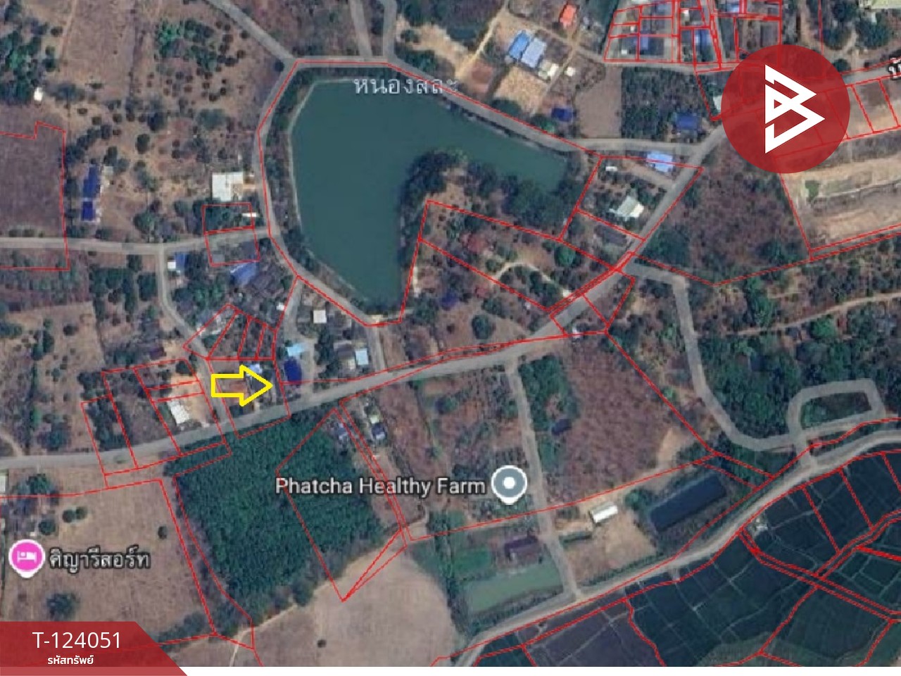 ขายที่ดินพร้อมสิ่งปลูกสร้าง เนื้อที่ 183 ตารางวา ต.แม่เจดีย์ อ.เวียงป่าเป้า จ.เชียงราย 2