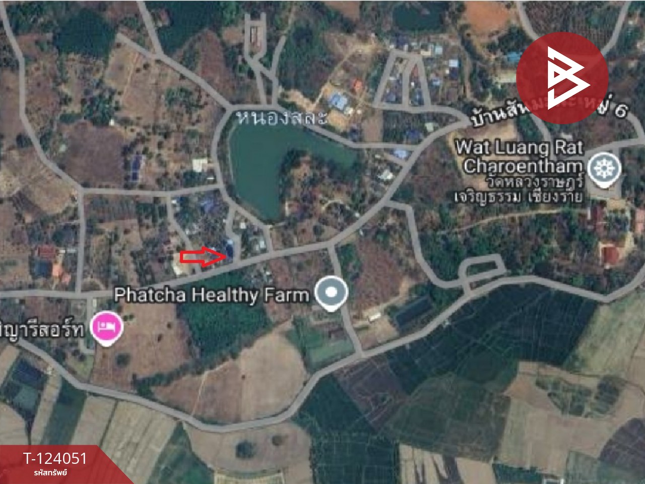 ขายที่ดินพร้อมสิ่งปลูกสร้าง เนื้อที่ 183 ตารางวา ต.แม่เจดีย์ อ.เวียงป่าเป้า จ.เชียงราย 1