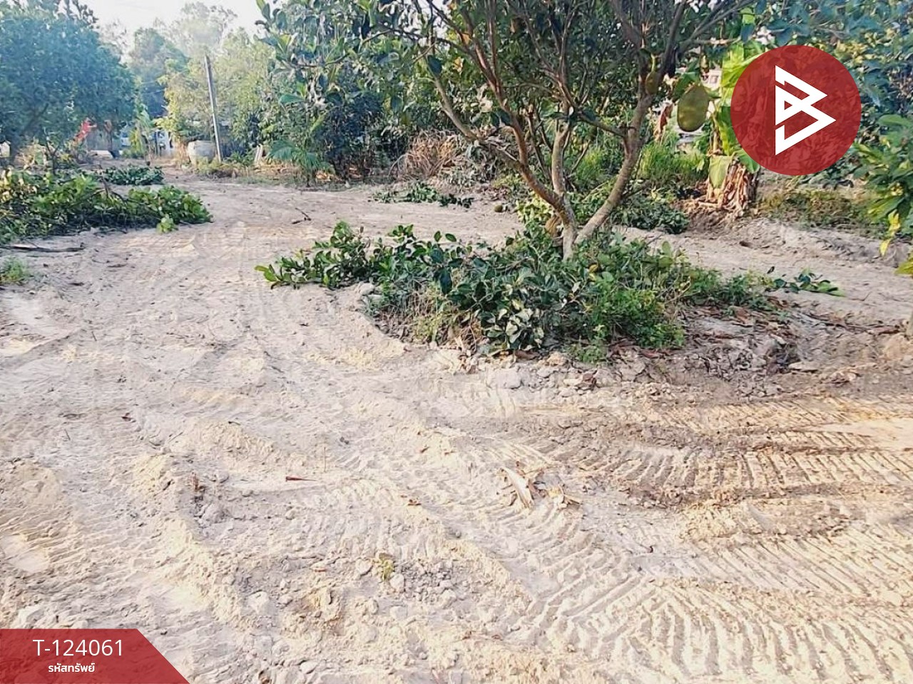 ขายที่ดินพร้อมบ้าน 2 หลัง เนื้อที่ 2 ไร่ 1 งาน 0.9 ตารางวา บ้านค่าย ระยอง 4