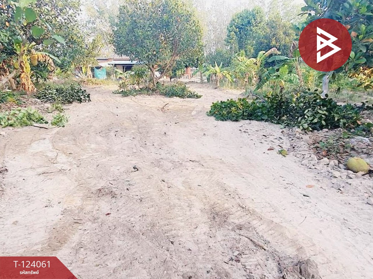 ขายที่ดินพร้อมบ้าน 2 หลัง เนื้อที่ 2 ไร่ 1 งาน 0.9 ตารางวา บ้านค่าย ระยอง 3