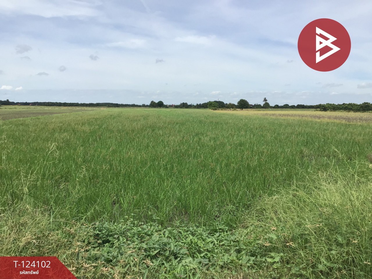 ขายที่ดิน เนื้อที่ 3 ไร่ 2.2 ตารางวา ทับตีเหล็ก สุพรรณบุรี 14