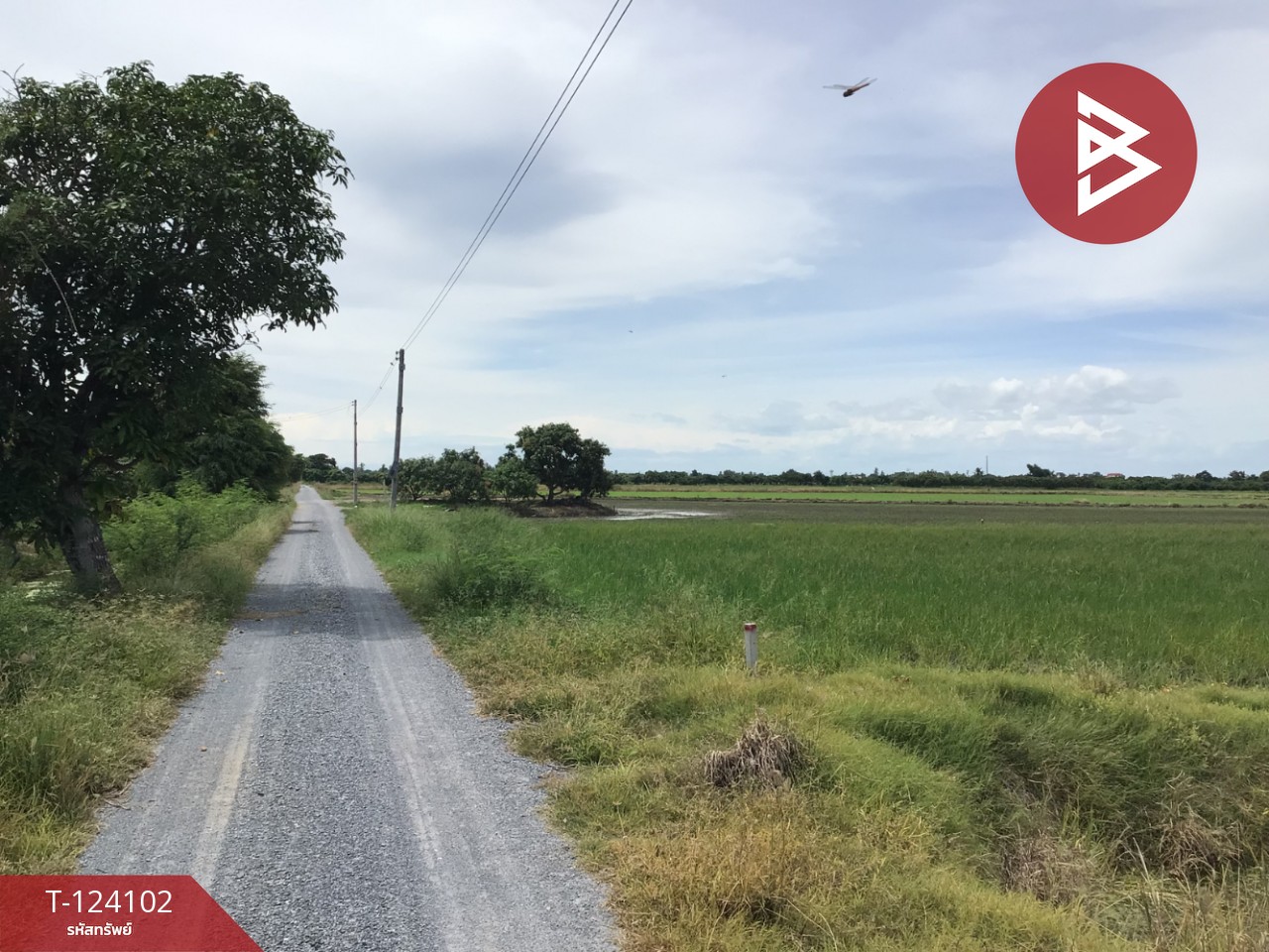 ขายที่ดิน เนื้อที่ 3 ไร่ 2.2 ตารางวา ทับตีเหล็ก สุพรรณบุรี 9