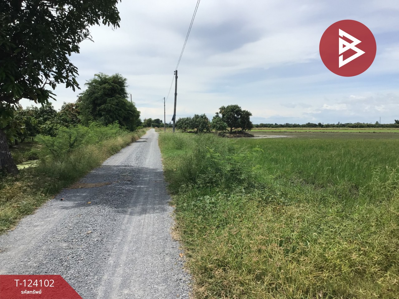 ขายที่ดิน เนื้อที่ 3 ไร่ 2.2 ตารางวา ทับตีเหล็ก สุพรรณบุรี 12