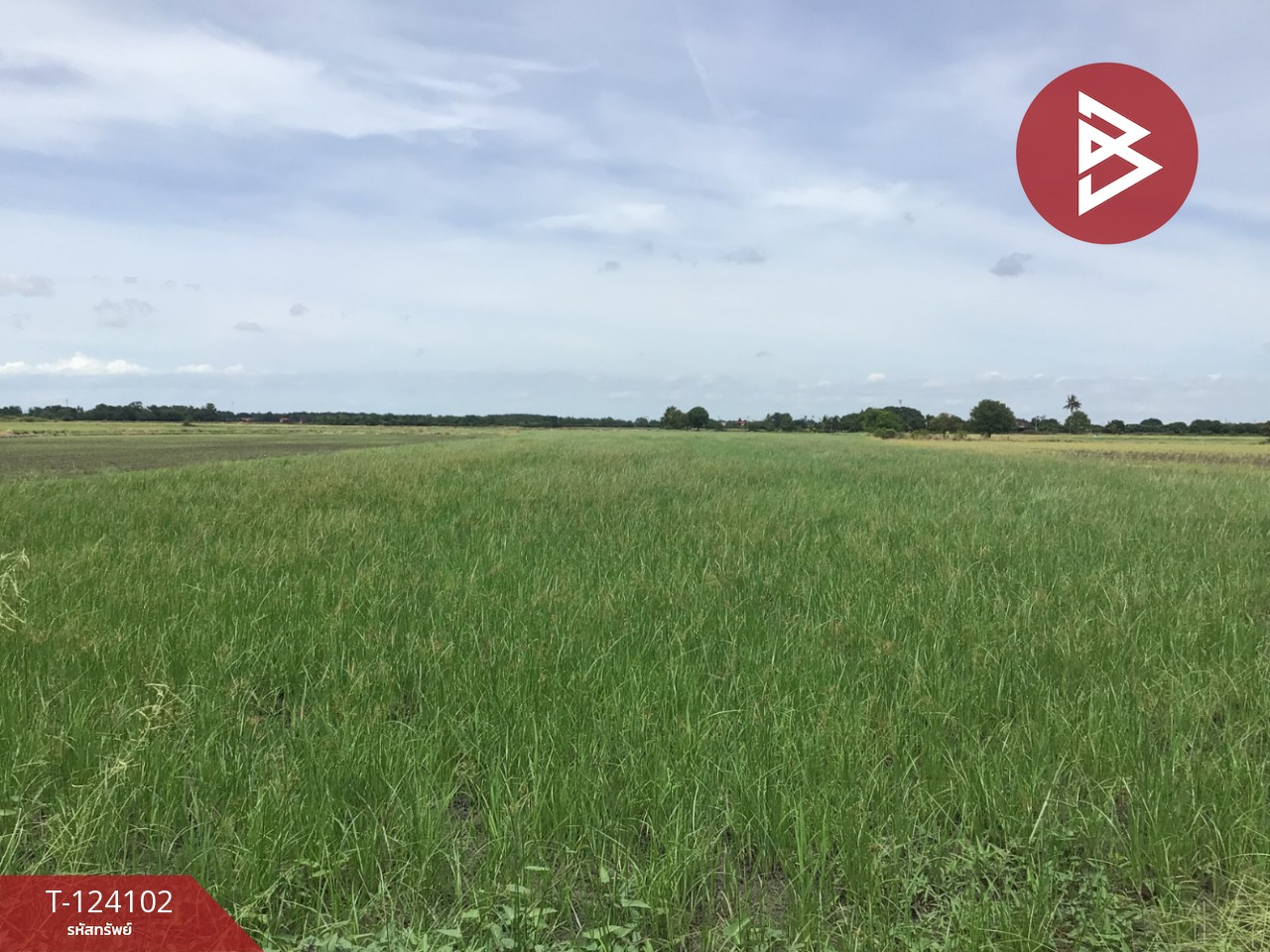 ขายที่ดิน เนื้อที่ 3 ไร่ 2.2 ตารางวา ทับตีเหล็ก สุพรรณบุรี 5