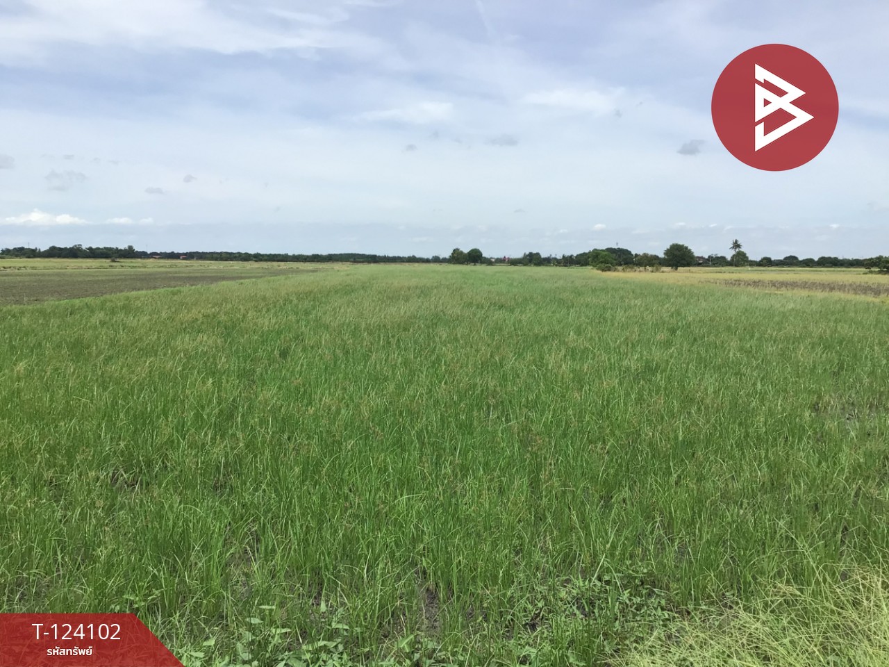 ขายที่ดิน เนื้อที่ 3 ไร่ 2.2 ตารางวา ทับตีเหล็ก สุพรรณบุรี 1