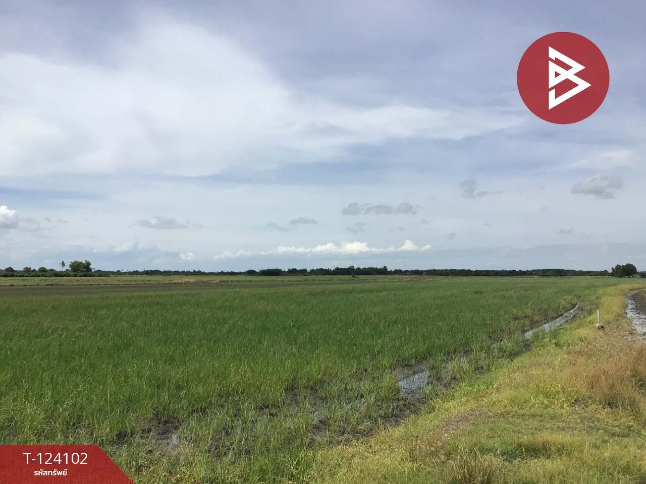 ขายที่ดิน เนื้อที่ 3 ไร่ 2.2 ตารางวา ทับตีเหล็ก สุพรรณบุรี 4