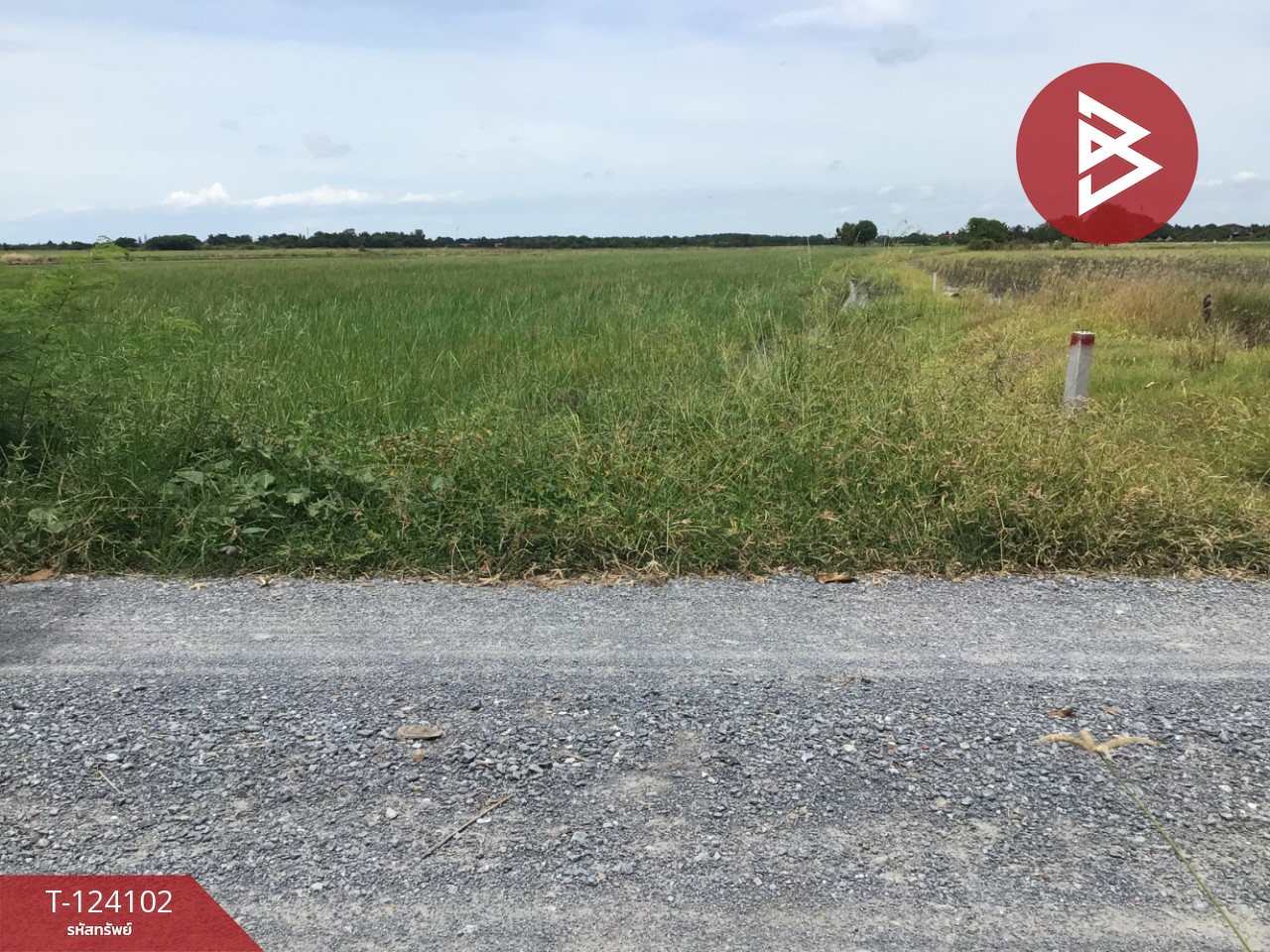 ขายที่ดิน เนื้อที่ 3 ไร่ 2.2 ตารางวา ทับตีเหล็ก สุพรรณบุรี 7