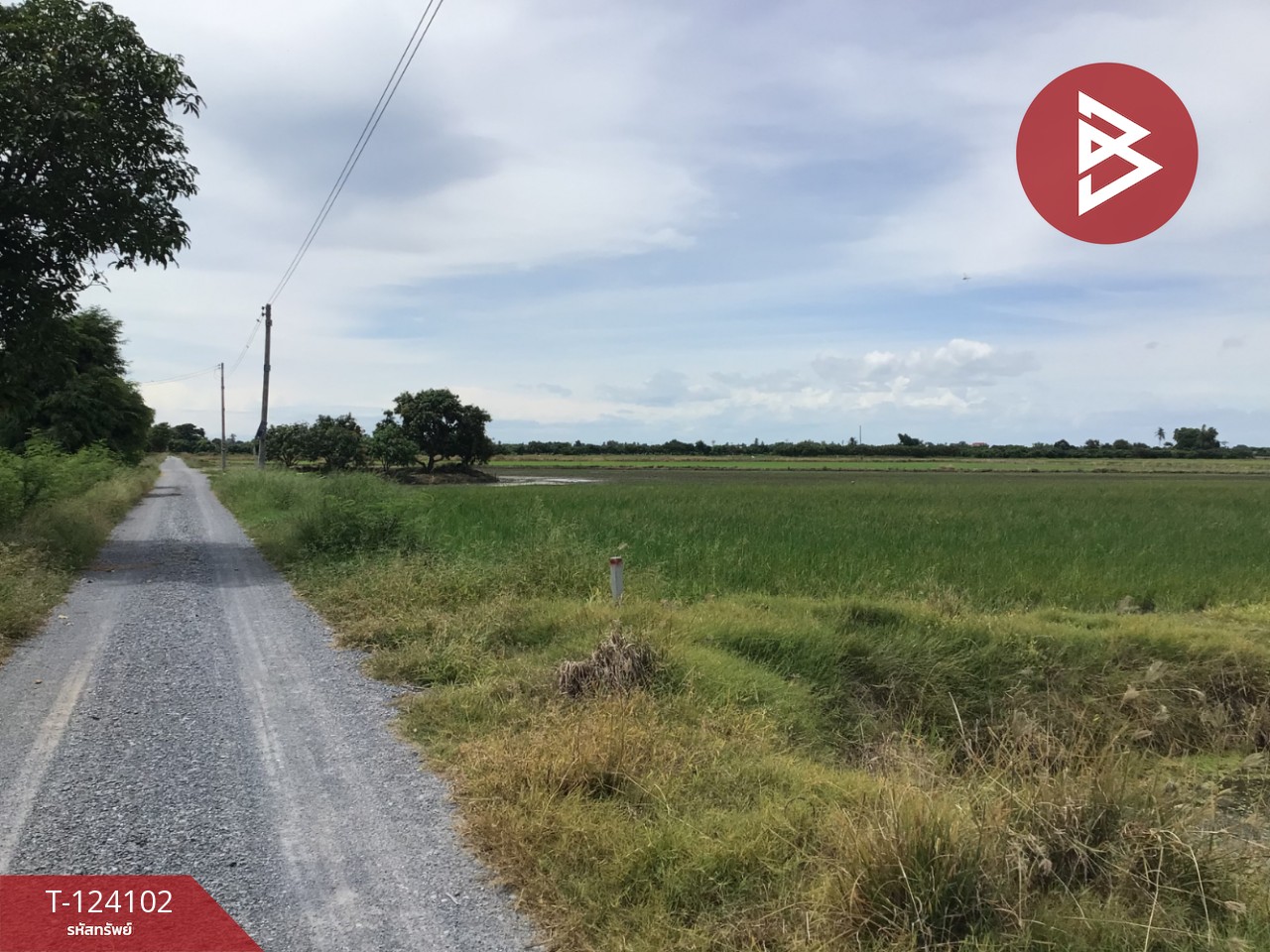 ขายที่ดิน เนื้อที่ 3 ไร่ 2.2 ตารางวา ทับตีเหล็ก สุพรรณบุรี 8