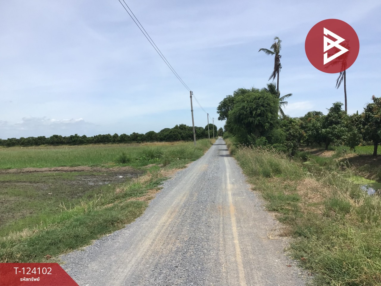 ขายที่ดิน เนื้อที่ 3 ไร่ 2.2 ตารางวา ทับตีเหล็ก สุพรรณบุรี 10