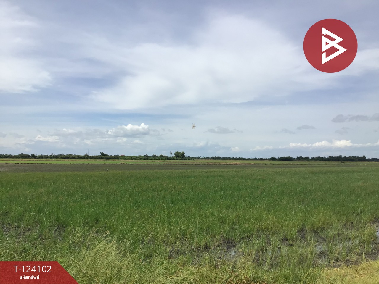 ขายที่ดิน เนื้อที่ 3 ไร่ 2.2 ตารางวา ทับตีเหล็ก สุพรรณบุรี 3