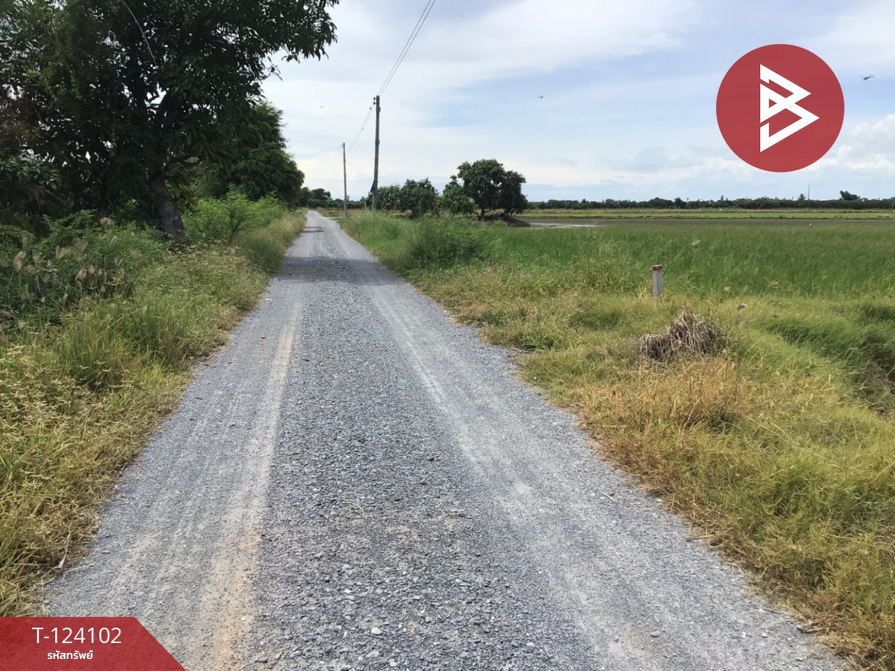 ขายที่ดิน เนื้อที่ 3 ไร่ 2.2 ตารางวา ทับตีเหล็ก สุพรรณบุรี 6