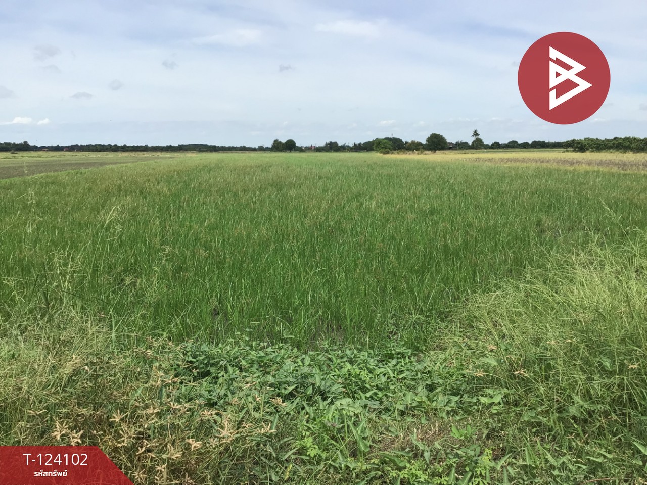 ขายที่ดิน เนื้อที่ 3 ไร่ 2.2 ตารางวา ทับตีเหล็ก สุพรรณบุรี 13