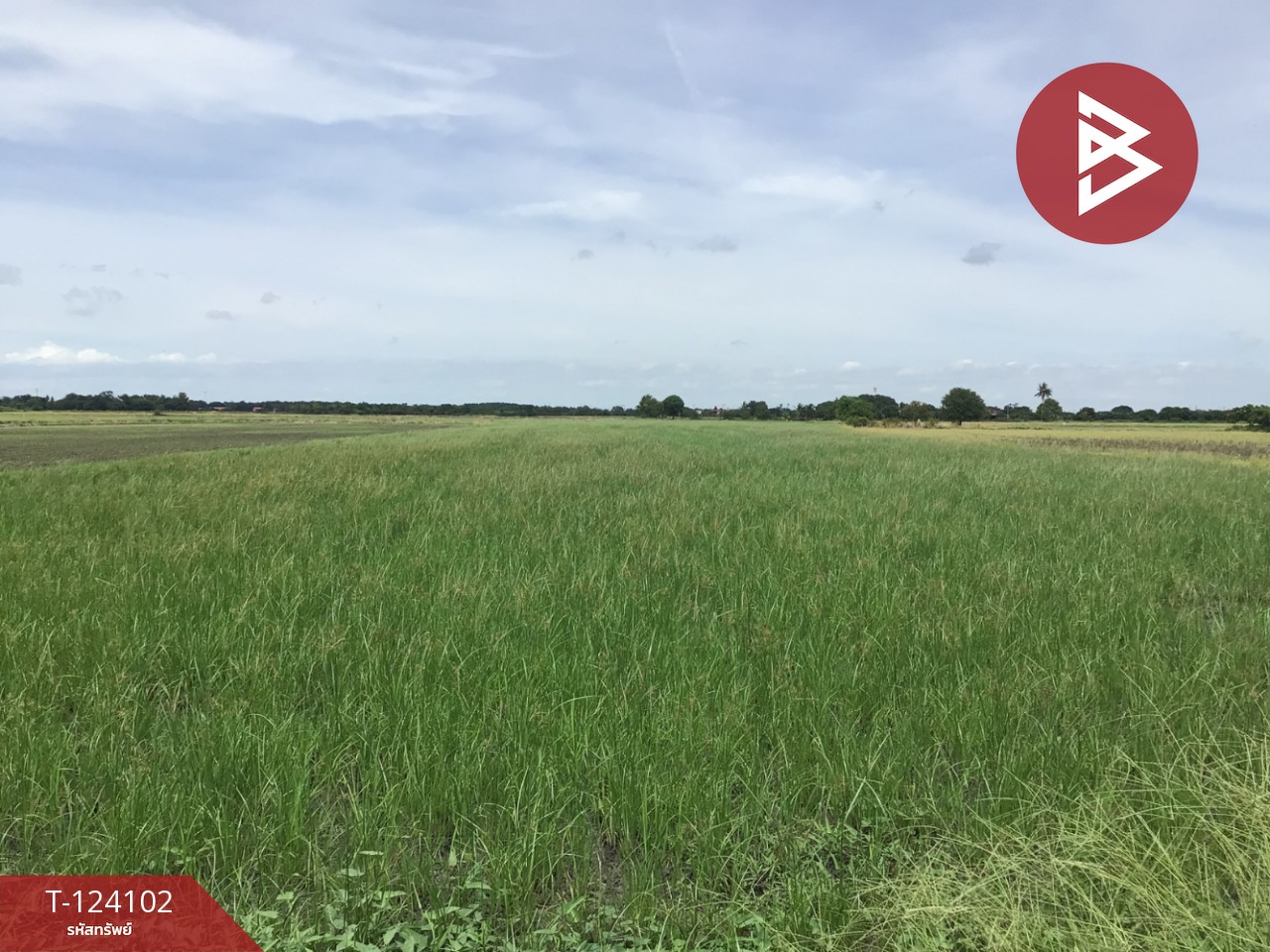 ขายที่ดิน เนื้อที่ 3 ไร่ 2.2 ตารางวา ทับตีเหล็ก สุพรรณบุรี 2