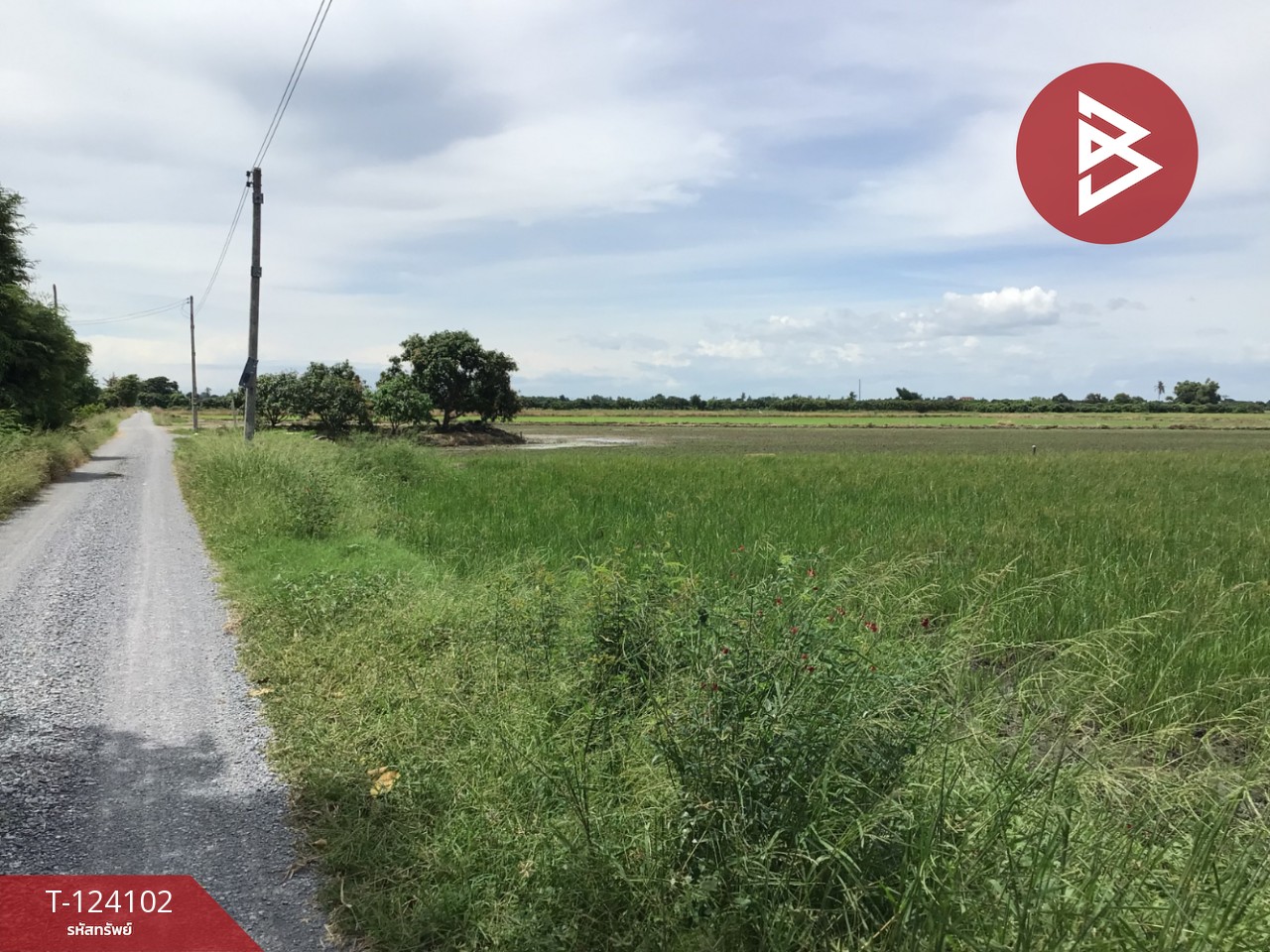 ขายที่ดิน เนื้อที่ 3 ไร่ 2.2 ตารางวา ทับตีเหล็ก สุพรรณบุรี 11