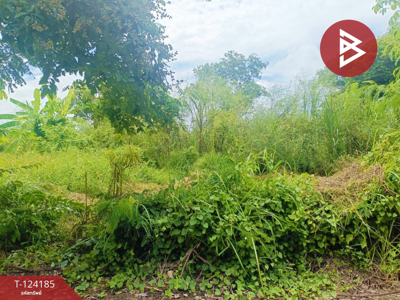 ขายที่ดิน เนื้อที่ 4 ไร่ 68.5 ตร.วา หนองจอก กรุงเทพมหานคร 3