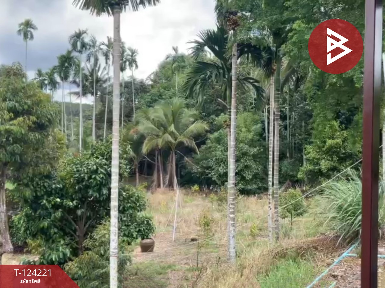 ขายที่ดินสวนทุเรียน พร้อมบ้าน เนื้อที่ 2 ไร่ 1 งาน 29 ตร.วา เขาสมิง ตราด 9