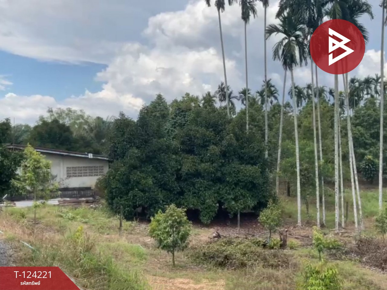 ขายที่ดินสวนทุเรียน พร้อมบ้าน เนื้อที่ 2 ไร่ 1 งาน 29 ตร.วา เขาสมิง ตราด 4