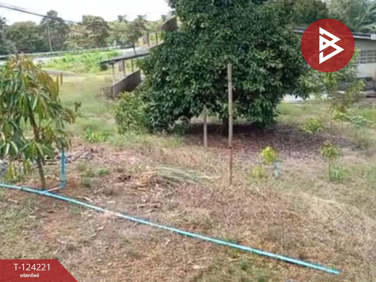 ขายที่ดินสวนทุเรียน พร้อมบ้าน เนื้อที่ 2 ไร่ 1 งาน 29 ตร.วา เขาสมิง ตราด 5