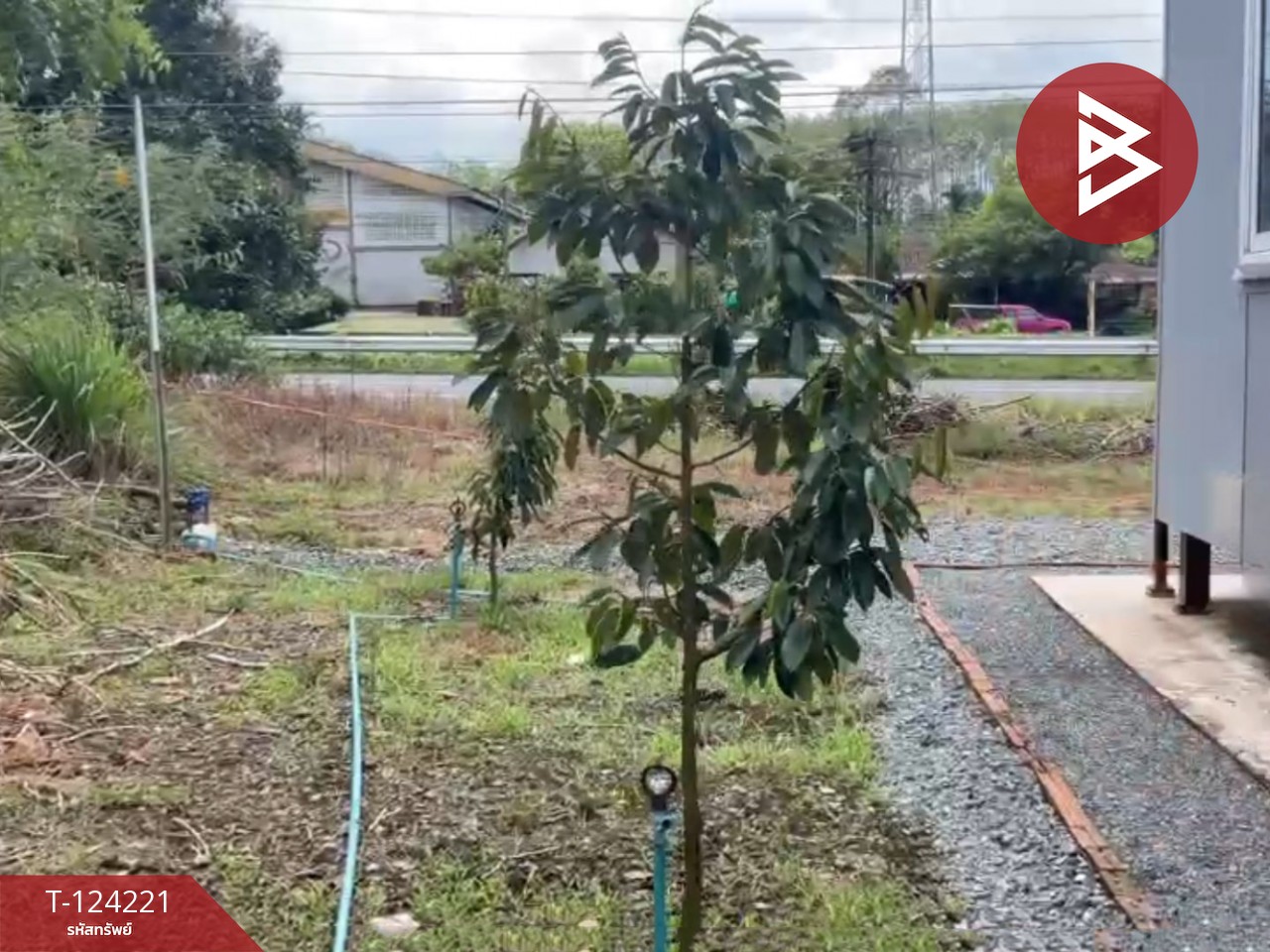 ขายที่ดินสวนทุเรียน พร้อมบ้าน เนื้อที่ 2 ไร่ 1 งาน 29 ตร.วา เขาสมิง ตราด 10