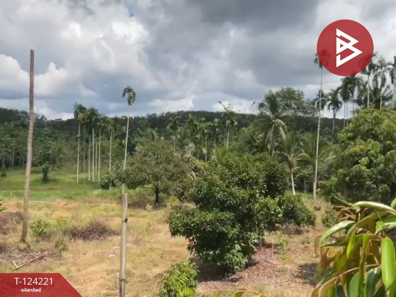 ขายที่ดินสวนทุเรียน พร้อมบ้าน เนื้อที่ 2 ไร่ 1 งาน 29 ตร.วา เขาสมิง ตราด 8