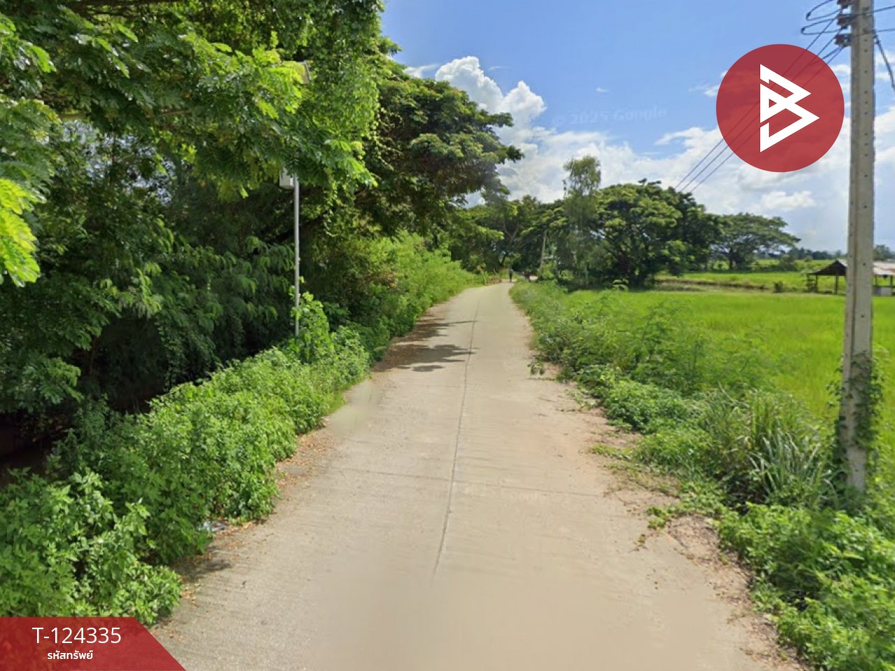 ขายที่ดิน เนื้อที่ 10 ไร่ 2 งาน 73 ตร.วา ดอกคำใต้ พะเยา 6