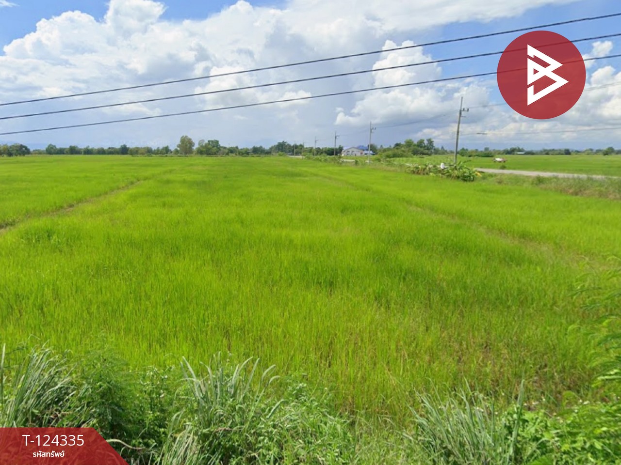 ขายที่ดิน เนื้อที่ 10 ไร่ 2 งาน 73 ตร.วา ดอกคำใต้ พะเยา 1