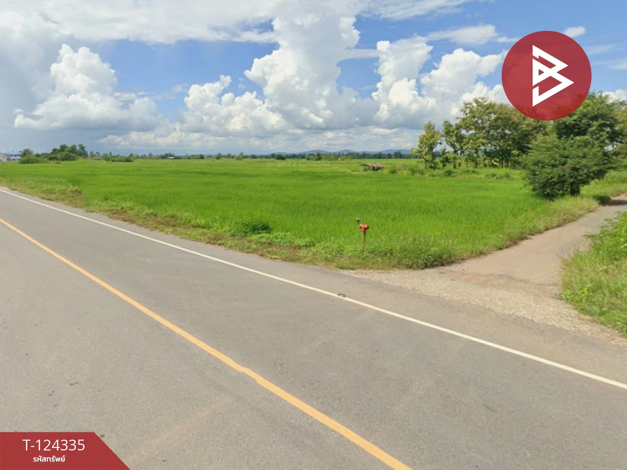 ขายที่ดิน เนื้อที่ 10 ไร่ 2 งาน 73 ตร.วา ดอกคำใต้ พะเยา 7