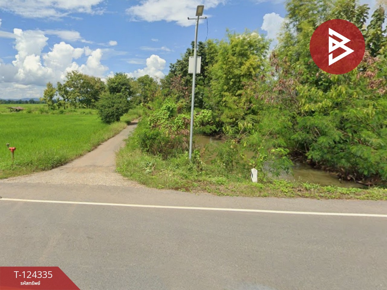 ขายที่ดิน เนื้อที่ 10 ไร่ 2 งาน 73 ตร.วา ดอกคำใต้ พะเยา 2