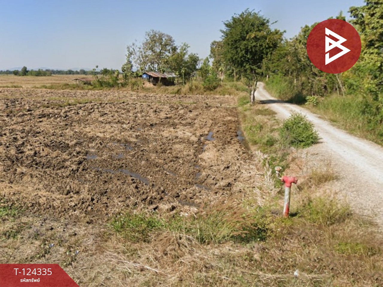 ขายที่ดิน เนื้อที่ 10 ไร่ 2 งาน 73 ตร.วา ดอกคำใต้ พะเยา 3