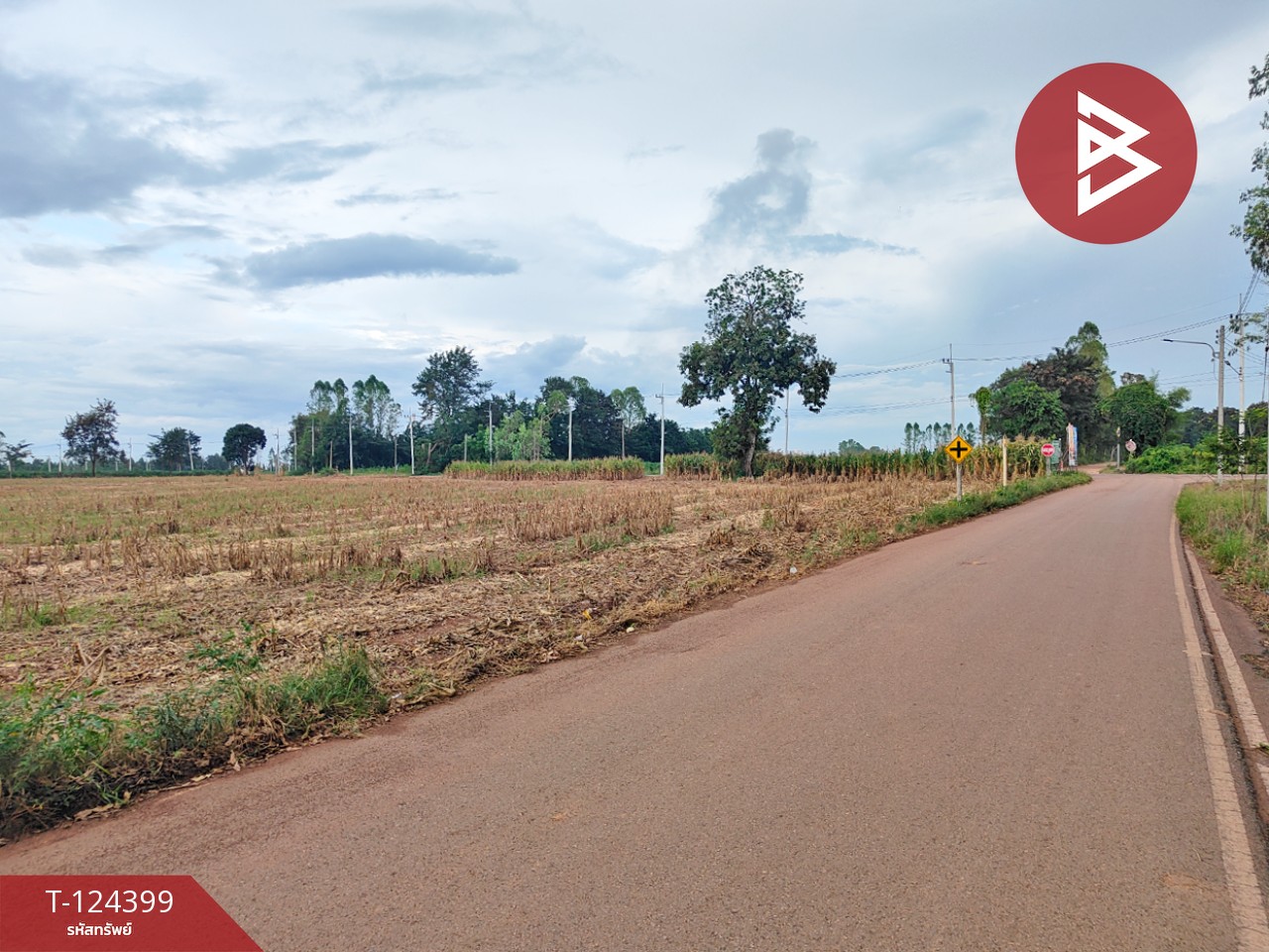 ขายที่ดิน เนื้อที่ 21 ไร่ 2 งาน 28 ตร.วา ศรีมหาโพธิ ปราจีนบุรี 3