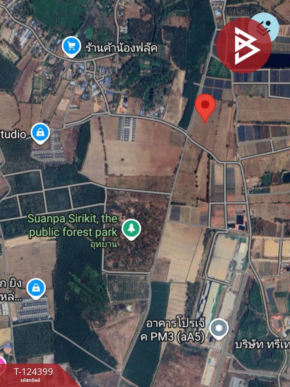 ขายที่ดิน เนื้อที่ 21 ไร่ 2 งาน 28 ตร.วา ศรีมหาโพธิ ปราจีนบุรี 11