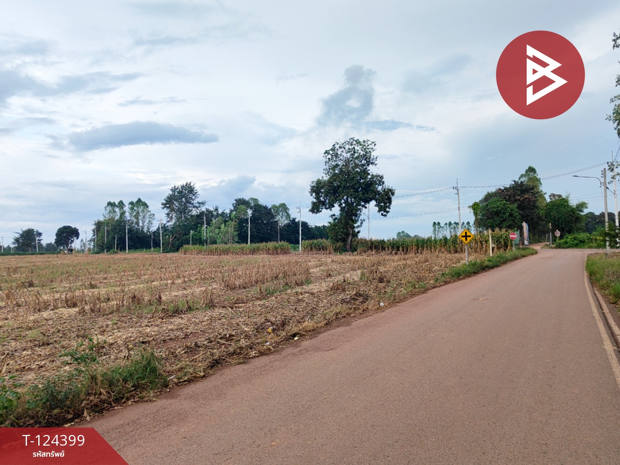 ขายที่ดิน เนื้อที่ 21 ไร่ 2 งาน 28 ตร.วา ศรีมหาโพธิ ปราจีนบุรี 4