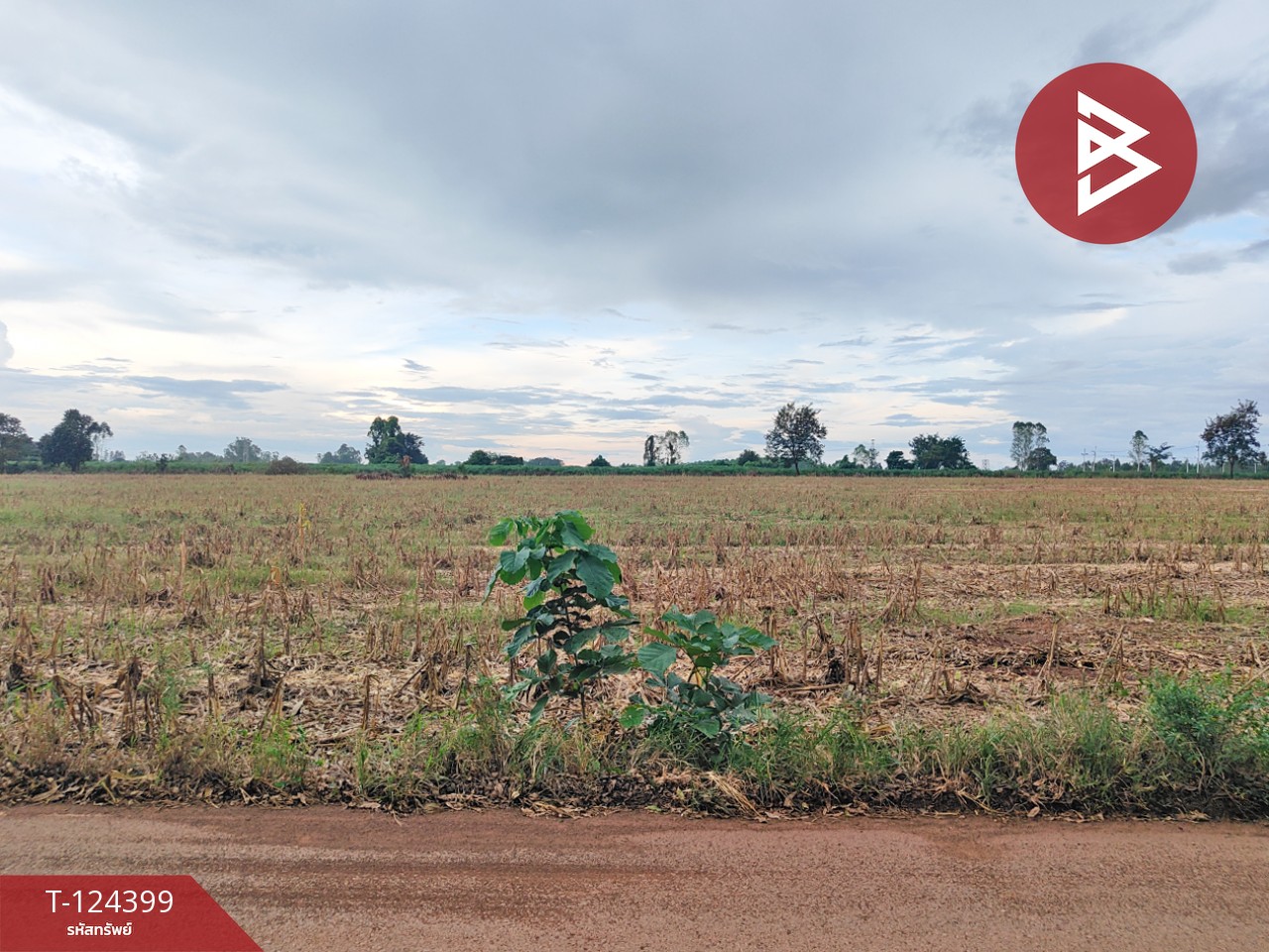 ขายที่ดิน เนื้อที่ 21 ไร่ 2 งาน 28 ตร.วา ศรีมหาโพธิ ปราจีนบุรี 1